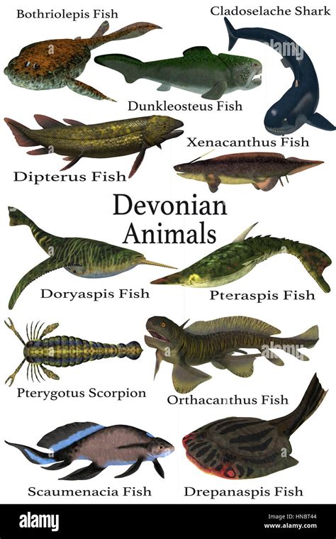 devonian fish|Devonian Period .